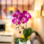 Le Chatelet- Parking Gratuit - Cosy Et Design - A 10 Mn De Geneve Apartment